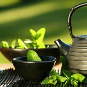 Trà Thái Green | Tinh Hoa Trà Sạch Từ Vùng Đất Thái Nguyên