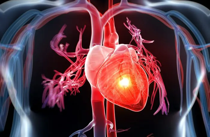 phòng ngừa các loại bệnh về tim mạch