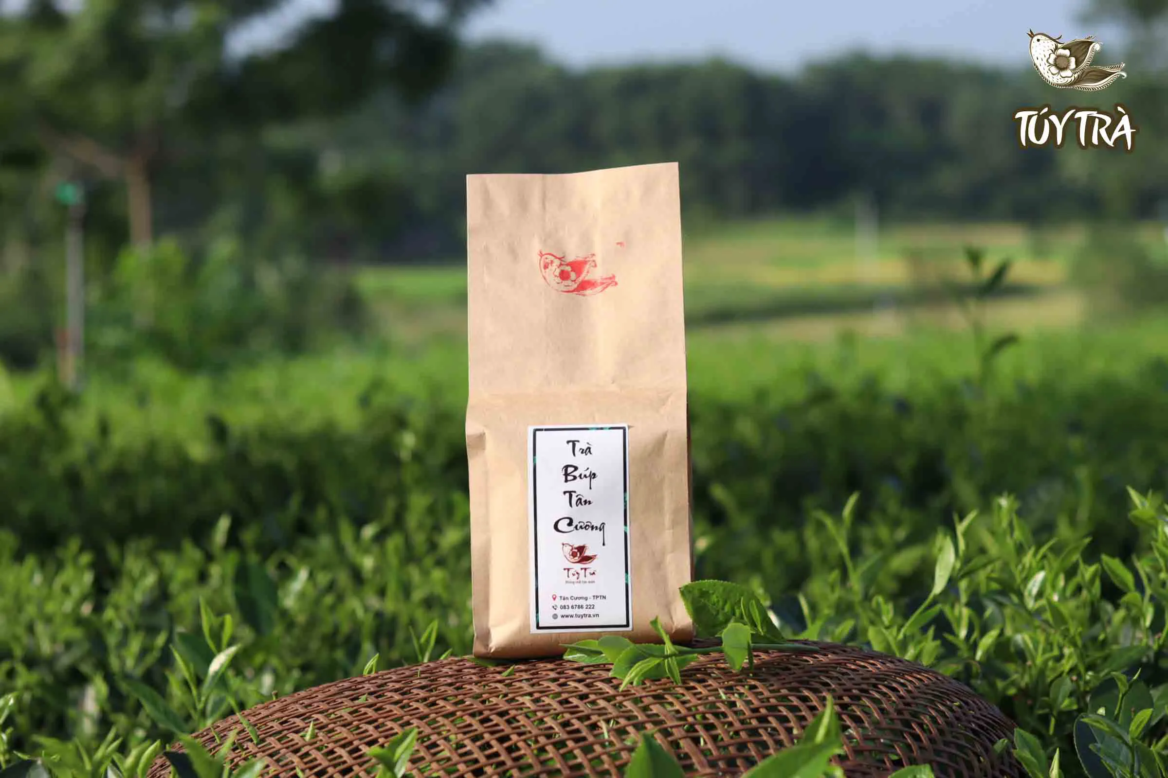 cách pha trà thái nguyên chuẩn vị