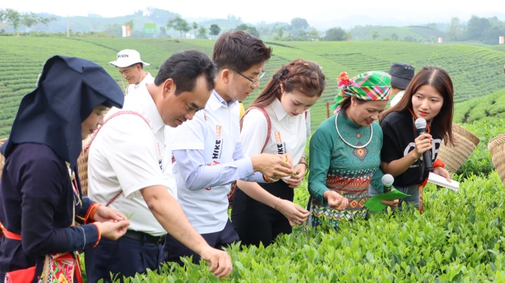 Truyền thông phổ biến về trà tại định hoá